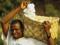 organic cotton farmer